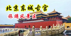 肥美女人骚逼中国北京-东城古宫旅游风景区